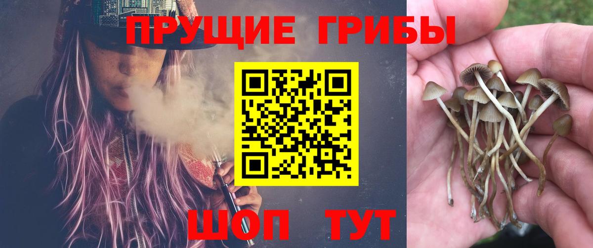 Галлюциногенные грибы мухоморы  Вход с VPN  Ейск 